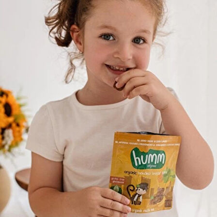 CEYLAN ADAM   Humm Organik Glutensiz Vegan Muzlu Kek 30 Gr