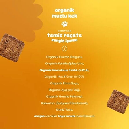 CEYLAN ADAM   Humm Organik Glutensiz Vegan Muzlu Kek 30 Gr