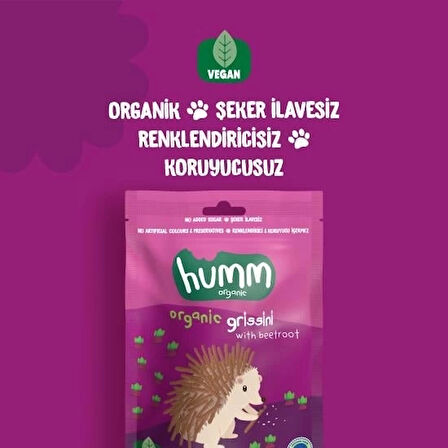 CEYLAN ADAM   Humm Organik Vegan Pancarlı Grissini 55 Gr