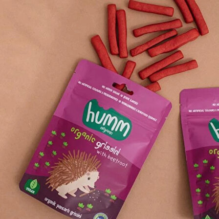 CEYLAN ADAM   Humm Organik Vegan Pancarlı Grissini 55 Gr
