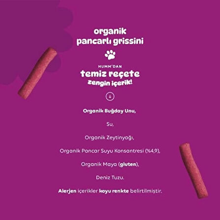 CEYLAN ADAM   Humm Organik Vegan Pancarlı Grissini 55 Gr