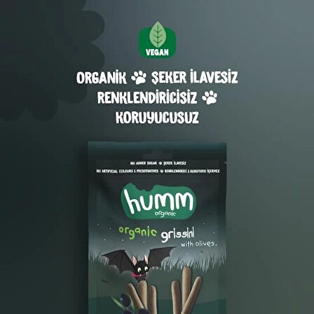 CEYLAN ADAM   Humm Organik Vegan Zeytinli Grissini 55 Gr