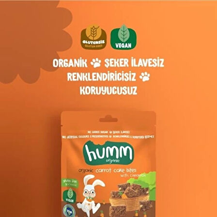 CEYLAN ADAM   Humm Organik Havuçlu Tarçınlı Vegan Kek 30 Gr