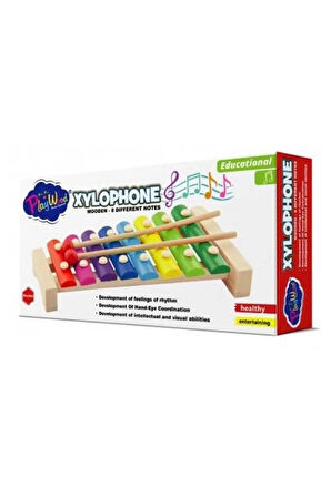 CEYLAN ADAM   PlayWood Ahşap 8 Farklı Notalı Ksilofon 405