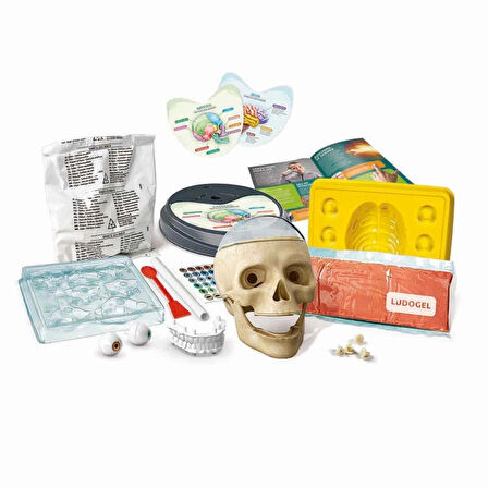 CEYLAN ADAM   Bilim ve Oyun Çılgın Anatomi