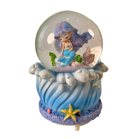 CEYLAN ADAM   Kar Küresi LLM-HDY0212