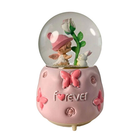 CEYLAN ADAM   Kar Küresi LLM-HDY0207