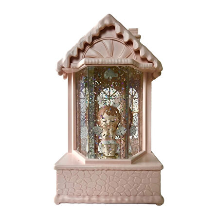 CEYLAN ADAM   Kar Küresi LLM-HDY0243