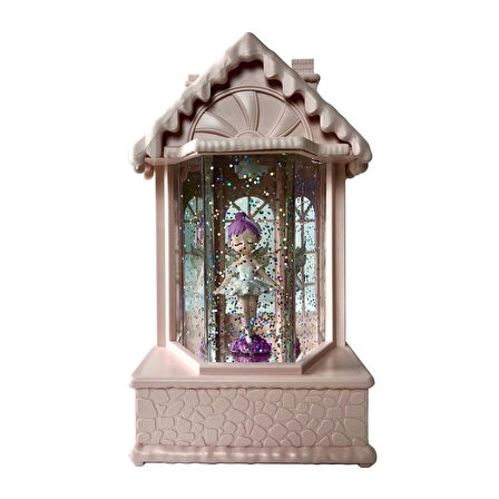 CEYLAN ADAM   Kar Küresi LLM-HDY0246