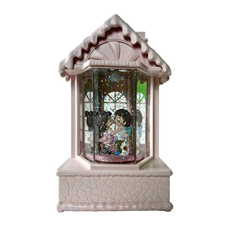 CEYLAN ADAM   Kar Küresi LLM-HDY0245