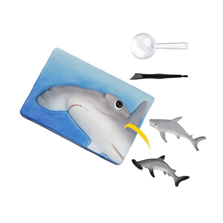 CEYLAN ADAM   NAT07002 National Geographic Köpek Balığı Bulma Kiti - TRHAMSHDIG +6 yaş