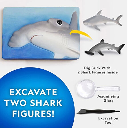 CEYLAN ADAM   NAT07002 National Geographic Köpek Balığı Bulma Kiti - TRHAMSHDIG +6 yaş