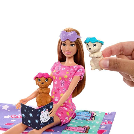 CEYLAN ADAM   HXN01 Barbie ve Köpekçikleri Pijama Partisi