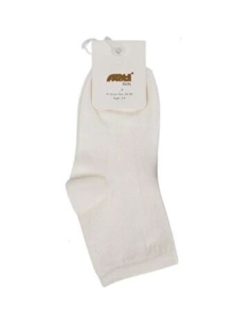 CEYLAN ADAM   Artı Tiger Soket Çorap 200028 Asorti