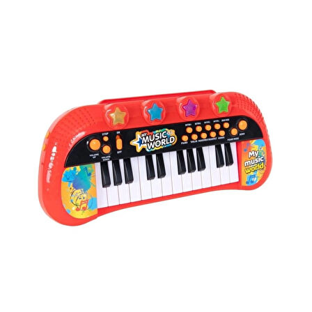 CEYLAN ADAM   4381 Elektronik Org 24 Tuş