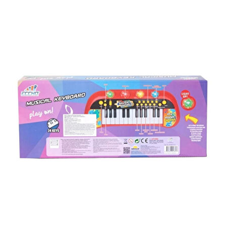 CEYLAN ADAM   4381 Elektronik Org 24 Tuş