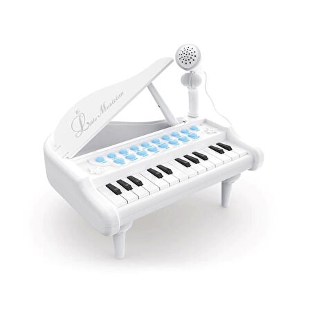 CEYLAN ADAM   BAO-1505A Mikrofonlu Mini Piano 24 Tuş MP3 Çalar