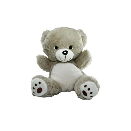 CEYLAN ADAM  PB30453-22S1 Peluş Asorti Ayı ve Panda 23 cm