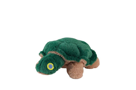 CEYLAN ADAM  4943 YEŞİL KAPLUMBAĞA