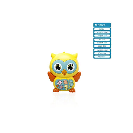 CEYLAN ADAM  JLG-855-101A KUT IŞIKLI VE MÜZİKLİ BAYKUŞ BEBEK