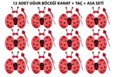 Uğur Böceği Kostüm Seti - Kanat Taç Asa 3 Parça 12 Adet