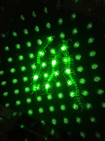 CEYLAN ADAM Nessiworld  Şaka Yılan ve Kırkayak Karışık 36 Adet