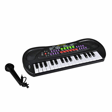 CEYLAN ADAM  99000 Sunman-Eccho, 32 Tuşlu Mikrofonlu Org / +3 yaş