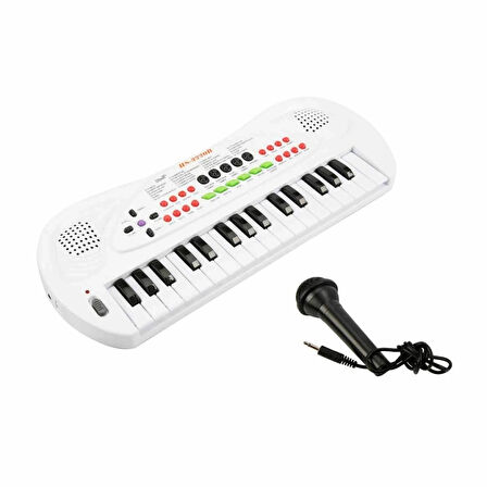CEYLAN ADAM  99000 Sunman-Eccho, 32 Tuşlu Mikrofonlu Org / +3 yaş