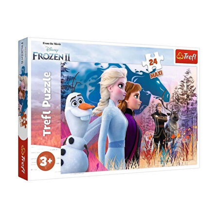 CEYLAN ADAM  PUZZLE-14298 Frozen II 24 Parça Maxi Çocuk Puzzle