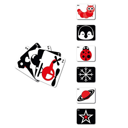 CEYLAN ADAM   2199 Eğitici Kartlar 0-6 Ay Zeka Kartları