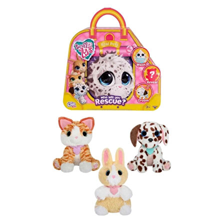 CEYLAN ADAM   Scruff A Luvs Klasik Seri Sürpriz Kutu CRU10000