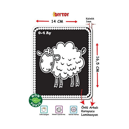 CEYLAN ADAM  1369 F.CARDS BEBEĞİMİN İLK ZEKA KARTLARI