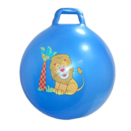 CEYLAN ADAM  CN-174 Çocuk Pilates Topu 55 cm -Can