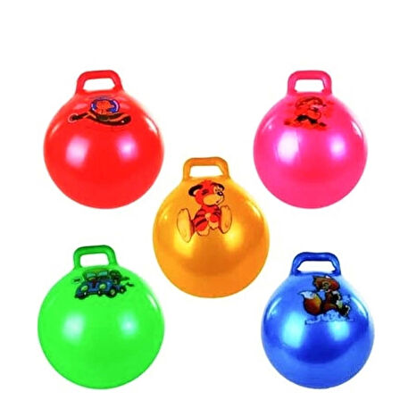 CEYLAN ADAM  CN-174 Çocuk Pilates Topu 55 cm -Can