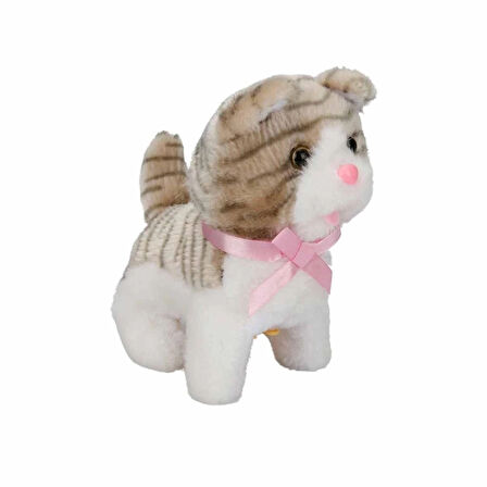 CEYLAN ADAM  Sunman Jamina Sevimli Peluş Kedicik