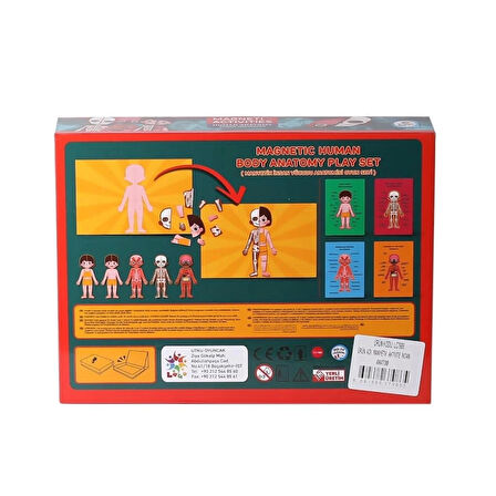 CEYLAN ADAM   LC986ManyetikAktiviteİnsanAnatomisi-Laço