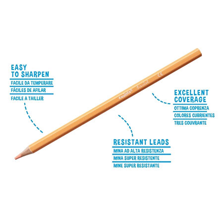 CEYLAN ADAM   Carioca Pastel Renk Kuru Boya Kalemi 12'Li