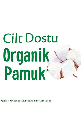 CEYLAN ADAM   Molped Pure&Soft Cilt Dostu Ped Eko 32 Adet