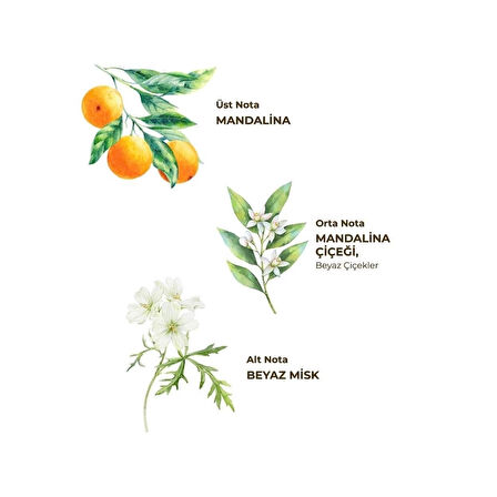 CEYLAN ADAM   Eyüp Sabri Tuncer Kolonya Pet Şişe Sprey 150 ml Bodrum Mandalinası