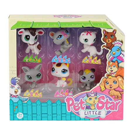 CEYLAN ADAM   KZL-3046A3 Pet Star 6'lı Miniş Seti -Kızılkaya Oyuncak
