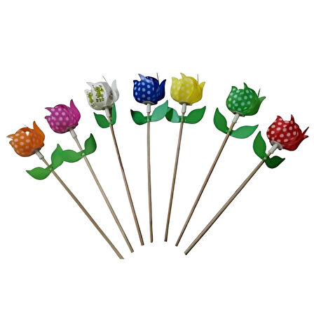 CEYLAN ADAM   Lale Rüzgar Gülü  (Adet Fiyatıdır)