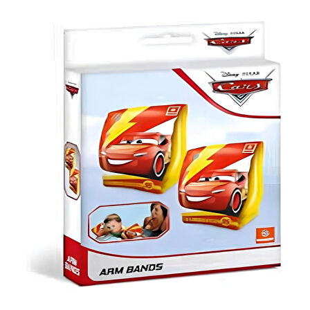 CEYLAN ADAM   Cars Kolluk 15 x 23 cm