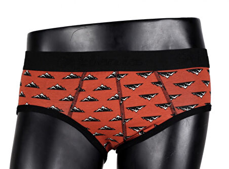 Erkek Likralı Slip 40031