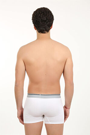 Erkek Likralı Boxer 40056