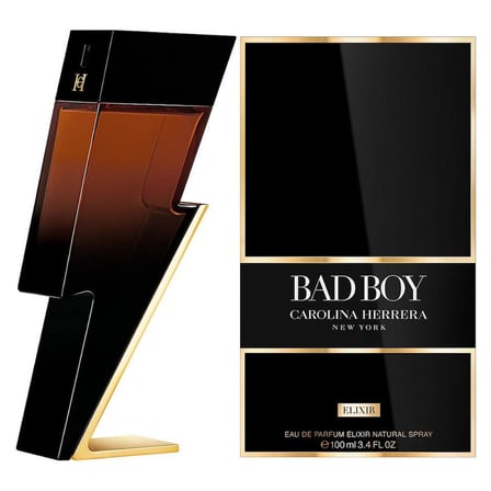 100 ml Erkek Parfümü Şık ve Modern Koku