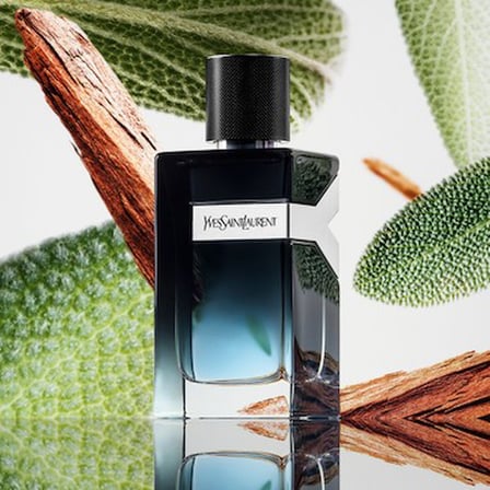100 ml Erkek Parfüm, Yeni Y Men Edp