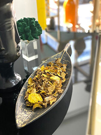 UZUN DEKORATİF YAPRAK (BÜYÜK)