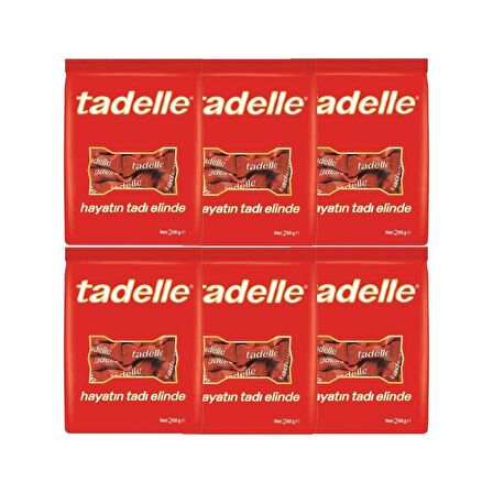 Tadelle Mini Fındık Dolgulu Sütlü Çikolata 200 Gr-6 Adet