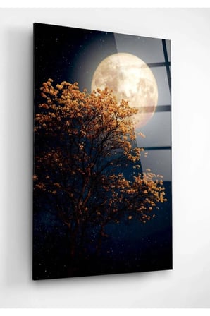 Digi Foto Dolunay Cam Tablo | Sanatsal Duvar Dekoru | Parlak ve Net Görüntü | Ev ve İş Yeri | Sevdiklerinize Hediyelik | Dayanıklı Cam Yapı