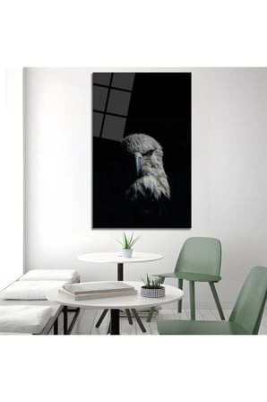 Siyah Beyaz Kartal Cam Tablo | Modern Duvar Dekoru | Canlı Renkli Baskı | Ofis ve Çalışma Odası | Yeni Ev Hediyesi | 4mm Kırılmaz Cam